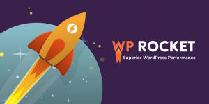 WP Rocket Settings