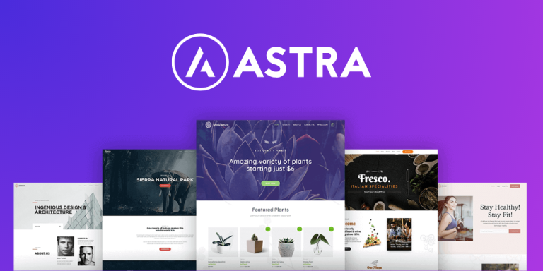 Astra theme review
